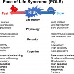 Синдром темпа жизни (pace-of-life syndrome, POLS): эволюция концепции