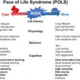 Гипотеза синдрома темпа жизни (pace-of-life syndrome, POLS) – современная, быстро развивающаяся концепция, связывающая физиологию, поведение и особенности жизненного цикла особей. Растущий объем работ по данной тематике обусловливает необходимость систематизировать исследования в этой области, что облегчит постановку частных научных задач и наметит...