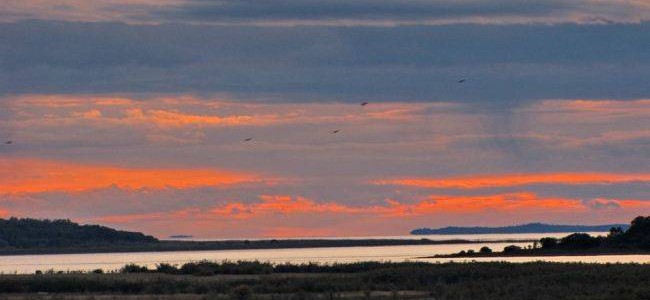 Человечество скоро определит новую эру для природы [в смысле, новые условия её сосуществования с нами], в ходе которой попробует трансформировать десятилетия безуспешных [не оправдавших ожиданий] реакций на глобальный кризис биоразнообразия [в что-нибудь более приличное]. Усилия в области территориальной охраны природы [area-based, т.е. ...